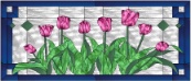 transom tulips