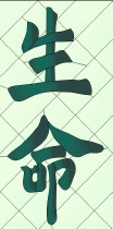 Kanji - Life