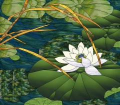 Lotus Blossom Pond