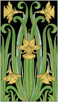 Daffodils