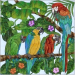 Macaws