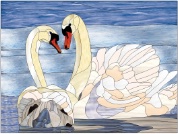 Swans