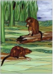 Muskrats