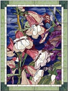stained pink bellflowers