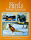 Birds of North America